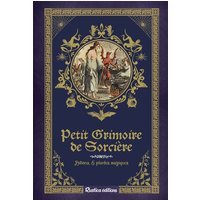 Petit grimoire de sorcière : potions & plantes magiques