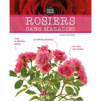 Rosiers sans maladies