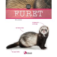 Furet