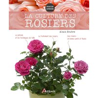 La culture des rosiers