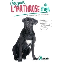 Soigner l'arthrose du chien