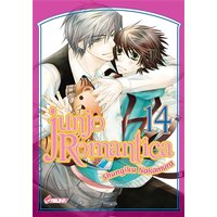 Junjo Romantica T14