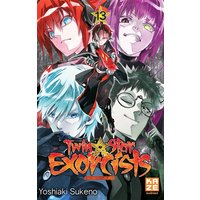 Twin star exorcists. Vol. 13