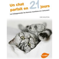 Un chat parfait en 21 jours : lui (ré)apprendre les bonnes manières en s'amusant
