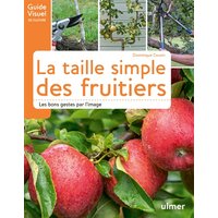 La taille simple des fruitiers : les bons gestes par l'image