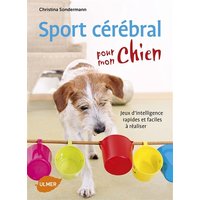 Sport cérébral pour mon chien