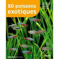 80 poissons exotiques : les meilleures espèces pour aquarium d'eau douce