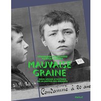 Mauvaise graine : deux siècles d'histoire de la justice des enfants