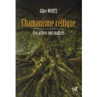 Chamanisme celtique : ces arbres nos maîtres