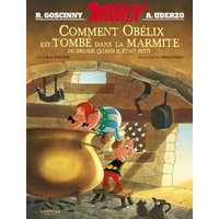 Astérix - Album illustré - Comment Obélix est tombé dans la marmite quand il était petit - HC