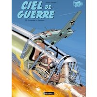 Ciel de guerre. Vol. 2. Cocardes en flammes