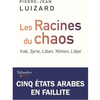 Les racines du chaos - Irak, Syrie, Liban, Yémen, Libye, cinq États arabes en faillite