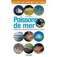 Poissons de mer : observer et reconnaître 50 espèces de notre littoral