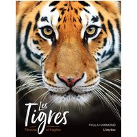 Les tigres : féroces et fragiles