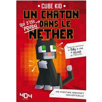 Un chaton qui s'est perdu dans le Nether : une histoire Minecraft non-officielle