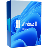 Microsoft Windows 11 Home