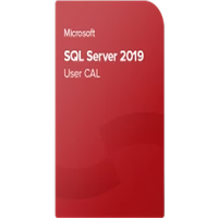 Microsoft SQL Server 2019 Standard 10 User CAL