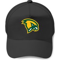 Fitchburg State Falcons Merchan And Gifts Baseball Caps