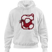 Suny Cortland Red Dragons Hoodies