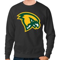 Fitchburg State Falcons Merchan And Gifts Sweatshirts