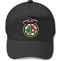 Boston All Teams Sports Baseball Caps
