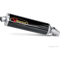 SS-B12SO1-HC - SS-B12SO1-HC - Akrapovic Line Silencer - BMW K 1200 S 2005-2008