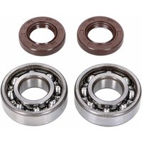 NK104.21 - Naraku Crankshaft Bearing Set For Derbi GPR 50 2009-2016