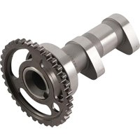 Image of 2072-1IN - 2072-1IN - Hot Cams Camshaft Intake Stage 1 - Suzuki LT-R 450 2X4 2006-2009