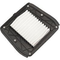 E14-0996 - Drag Specialties OEM Replacement Air Filter For Indian Scout 60 2016-2022 - Black/White