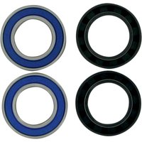 Image of 25-1435 - Moose Racing Wheel Bearing Kit For Arctic Cat Textron 50 2X4 2008 (US Models) Rear