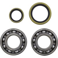 24-1129 - Moose Racing Crank Bearing & Seal Kit For Beta Evo 300 2009-2021