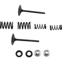 M40-40360 - Moose Racing Stainless Intake Valve & Spring Kit For Kawasaki KXF450 2006-2008