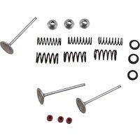 M80-80950 - Moose Racing Stainless Intake Valve & Spring Kit For Yamaha WRF450 2003-2015