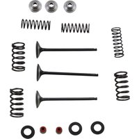 Image of M80-80850 - Moose Racing Stainless Intake Valve & Spring Kit For Yamaha WRF250 2002-2013