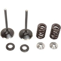 M96-96450 - Moose Racing Stainless Intake Valve & Spring Kit For KTM SXF250 2008-2012