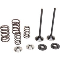 M96-96460 - Moose Racing Stainless Exhaust Valve & Spring Kit For KTM SXF250 2008-2012