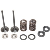 M96-96070 - Moose Racing Stainless Intake Valve & Spring Kit For KTM EXC400 2009