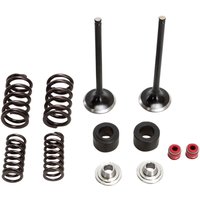 M30-32450 - Moose Racing Stainless Exhaust Valve & Spring Kit For Honda CRF250R 2016-2017