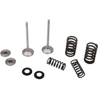 M40-41455 - Moose Racing Stainless Exhaust Valve & Spring Kit For Kawasaki KXF250 2017-2019