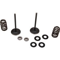 M96-96540 - Moose Racing Stainless Intake Valve & Spring Kit For Husqvarna FC450 2016-2018
