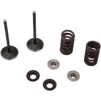 Image of M80-82350 - Moose Racing Stainless Intake Valve & Spring Kit For Yamaha WRF250 2020-2024