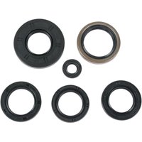 822251MSE - Moose Racing Oil Seals For Kawasaki KFX700 2X4 2004-2009