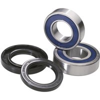 Image of 25-1556 - Moose Racing Wheel Bearing Kit For Sherco 2.5 250 I 2008 Rear