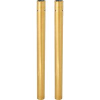 Image of 121-002 - Arlen Ness Fork Tubes For Harley Davidson FLHR 1750 2020-2022 - Gold