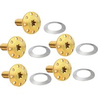 Image of 300-908 - Arlen Ness Holeshot Floating Brake Disc Bolt Kit For Indian 101Scout 1250 Rear - Gold