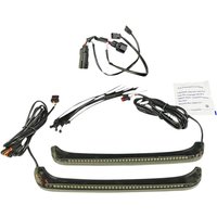 Image of CD-LPDC-BCM4-S - Custom Dynamics LED Low-Profile Bagz Accent Lights For Harley Davidson FLH 1868 2021 Rear Smoke