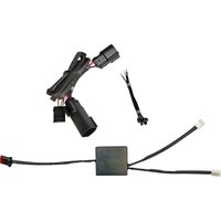 Image of CD-ALT-BS-BCM - Custom Dynamics Alternating Brake Strobe Module For Harley Davidson FLH 1868 2021