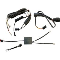 Image of CD-ALT-HORN-BCM - Custom Dynamics Horn Trigger Alternating Strobe Module For Harley Davidson FLH 1868 2021 - Black