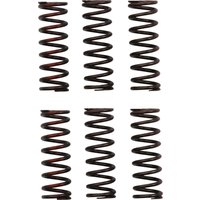 CSH21450-CS - Pro Circuit Clutch Spring Set For Honda CRF450R 2021-2024