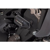 Image of STP.06.590.10900/B